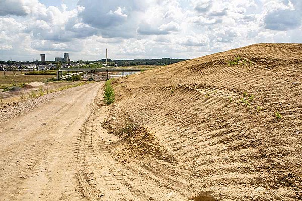 Projekt: <br> Stadtteilpark Gelsenkirchen-Hassel